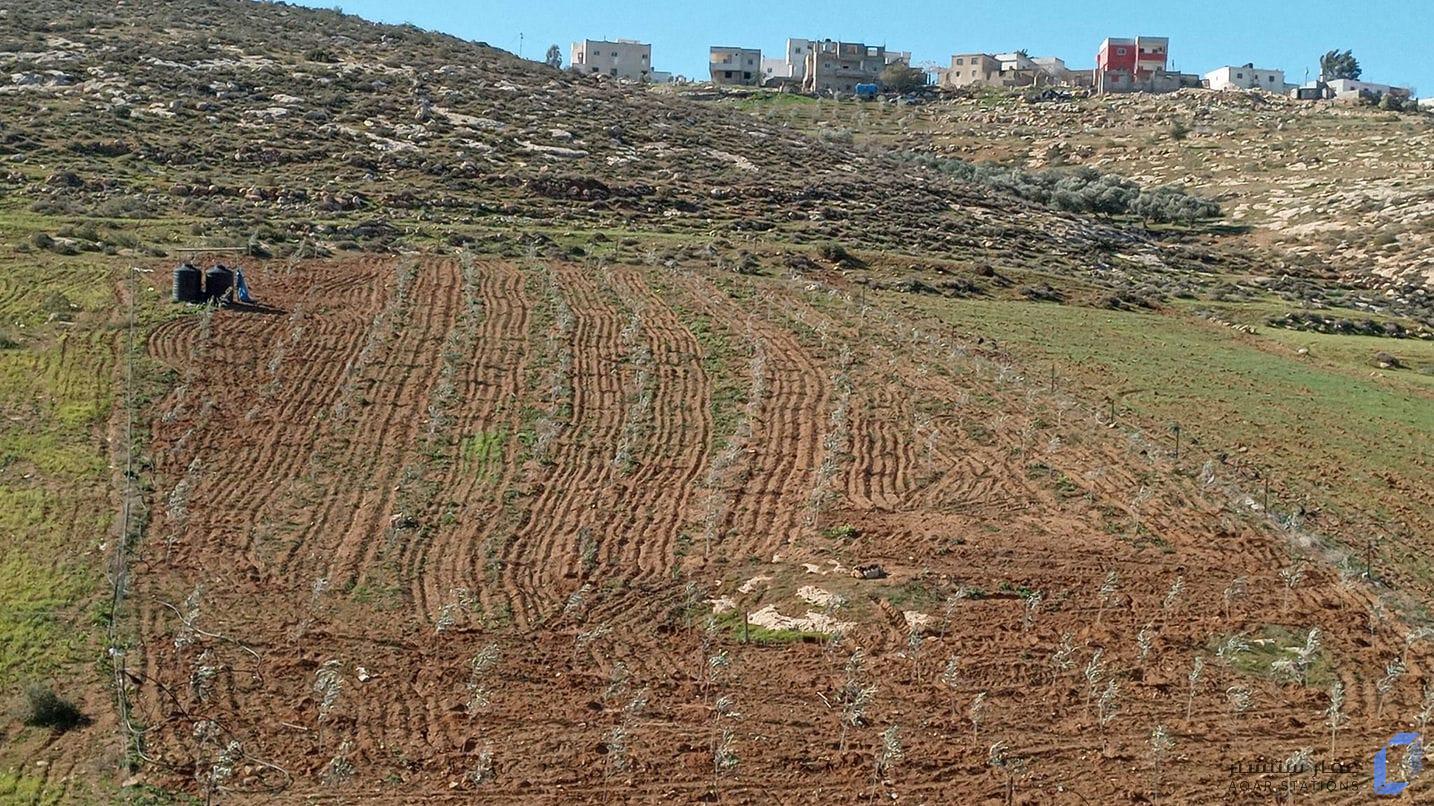 ارض زراعية
ملاحظة هذا الاعلان لتجربة ادخالات المنصة فقط